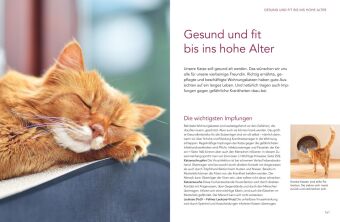 Das große Wohnungskatzen-Wohlfühl-Buch