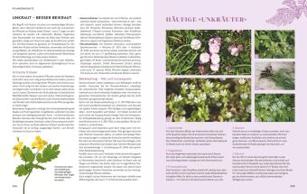 Das große Praxishandbuch Garten