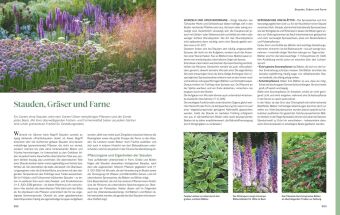 Das große Praxishandbuch Garten