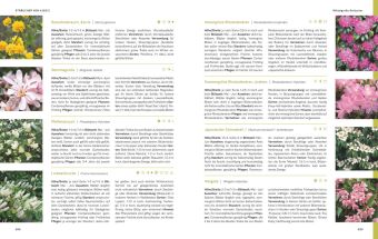 Das große Praxishandbuch Garten