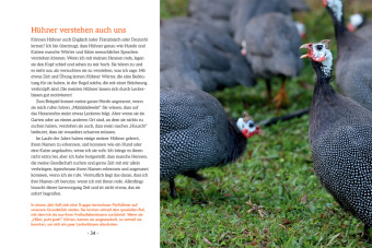 How to Read a Chicken's Mind 