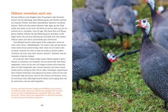 How to Read a Chicken's Mind 