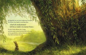 Der kleine Hase und die alte Weide