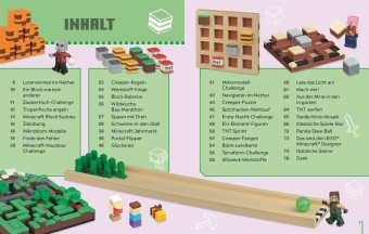 LEGO® Minecraft® Das Spielebuch