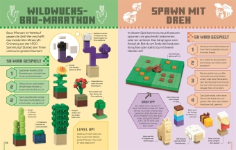 LEGO® Minecraft® Das Spielebuch