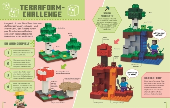 LEGO® Minecraft® Das Spielebuch
