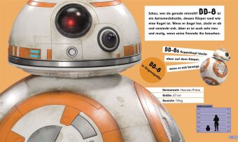 Star Wars(TM) In Lebensgröße
