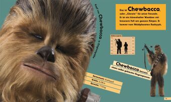 Star Wars(TM) In Lebensgröße