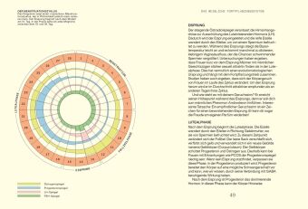 Alles, was du über Hormone wissen musst