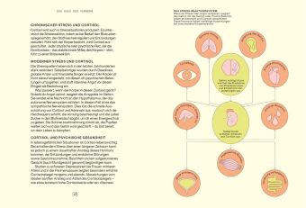 Alles, was du über Hormone wissen musst