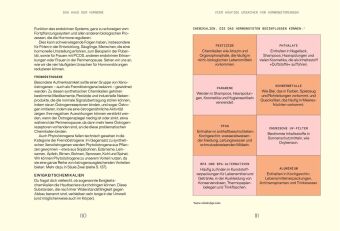 Alles, was du über Hormone wissen musst