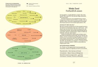 Alles, was du über Hormone wissen musst