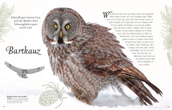 Wundervolle Welt der Vögel
