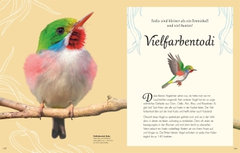 Wundervolle Welt der Vögel