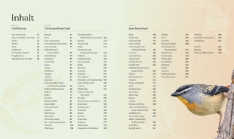Vögel - Eine Natur- und Kulturgeschichte
