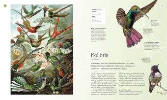Vögel - Eine Natur- und Kulturgeschichte