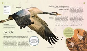 Vögel - Eine Natur- und Kulturgeschichte