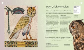 Vögel - Eine Natur- und Kulturgeschichte