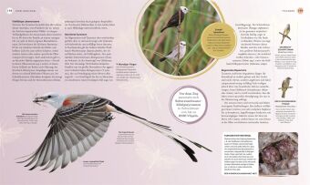 Vögel - Eine Natur- und Kulturgeschichte