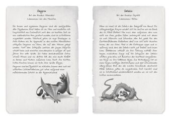 Beastlands. Schattenflügel (Band 1)