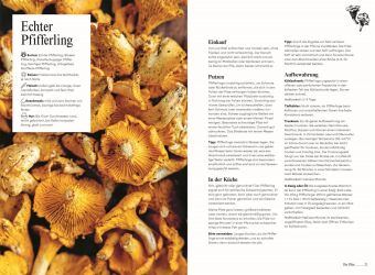 Pilze. Das Kochbuch