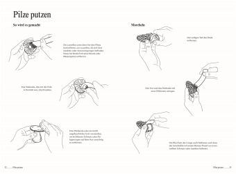 Pilze. Das Kochbuch