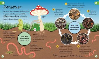 Wissen für Vorschulkids. Was weißt du über Natur und Technik?