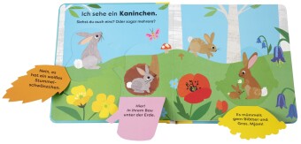 Mein erstes Natur-Entdeckerbuch. Da! Ein Fuchs