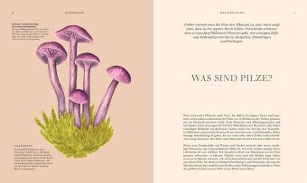 Pilze