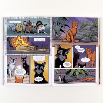 Warrior Cats - Rabenpfotes Weg
