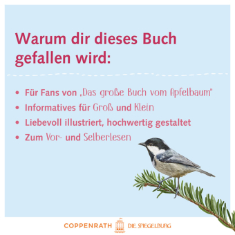 Das große Buch vom Tannenbaum