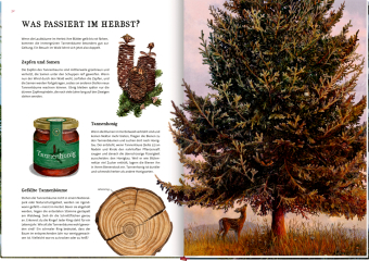 Das große Buch vom Tannenbaum