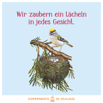 Das große Buch vom Tannenbaum