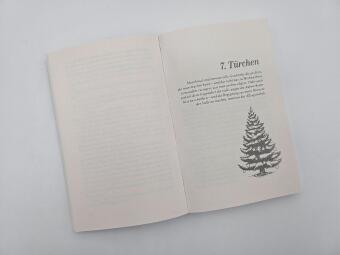 Meine zauberhafte Weihnachtsreise 