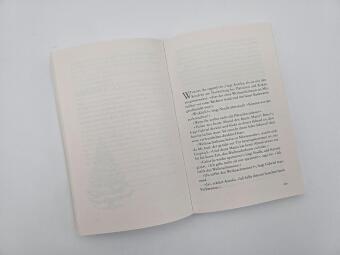 Meine zauberhafte Weihnachtsreise 