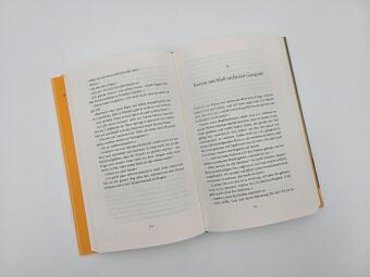 Die Erfindung der Sehnsucht