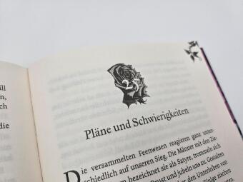 Feenfluch - Dein Wunsch soll erfüllt werden ...