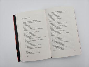 Einen Vulkan besteigen 