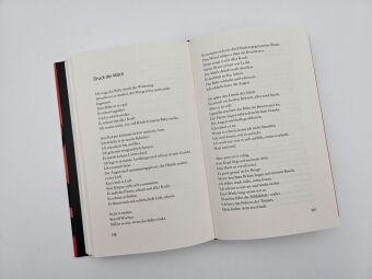 Einen Vulkan besteigen