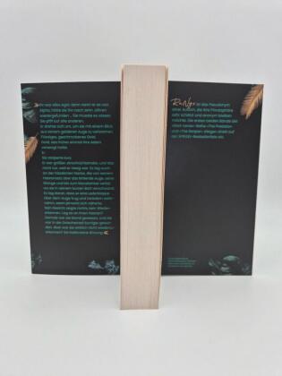 The Finisher - Du bist sein Verhängnis 