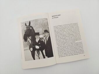 Was für ein Mensch ist mein Pferd?