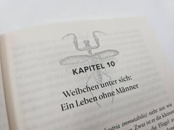 Bitch - Ein revolutionärer Blick auf Sex, Evolution und die Macht des Weiblichen im Tierreich