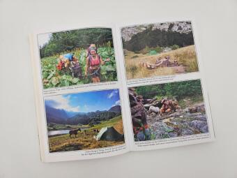 Immer den Nüstern nach 