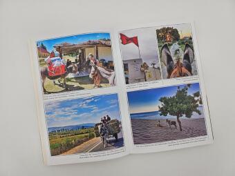 Immer den Nüstern nach 