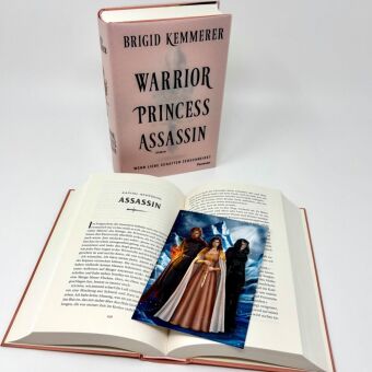 Warrior Princess Assassin