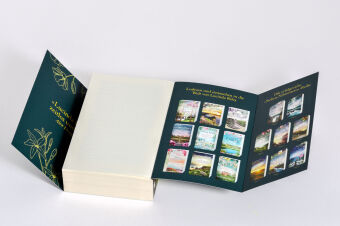 Das Mädchen aus Yorkshire 