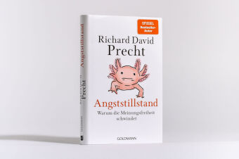 Angststillstand