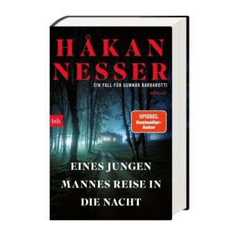 Eines jungen Mannes Reise in die Nacht