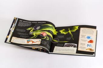Das große Handbuch der Drachen
