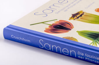 Samen